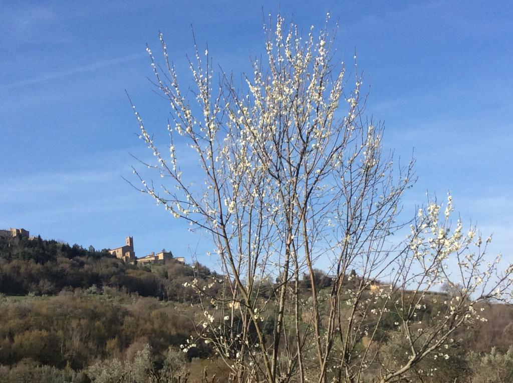 Agriturismo Le Canterie 라디콘돌리 외부 사진