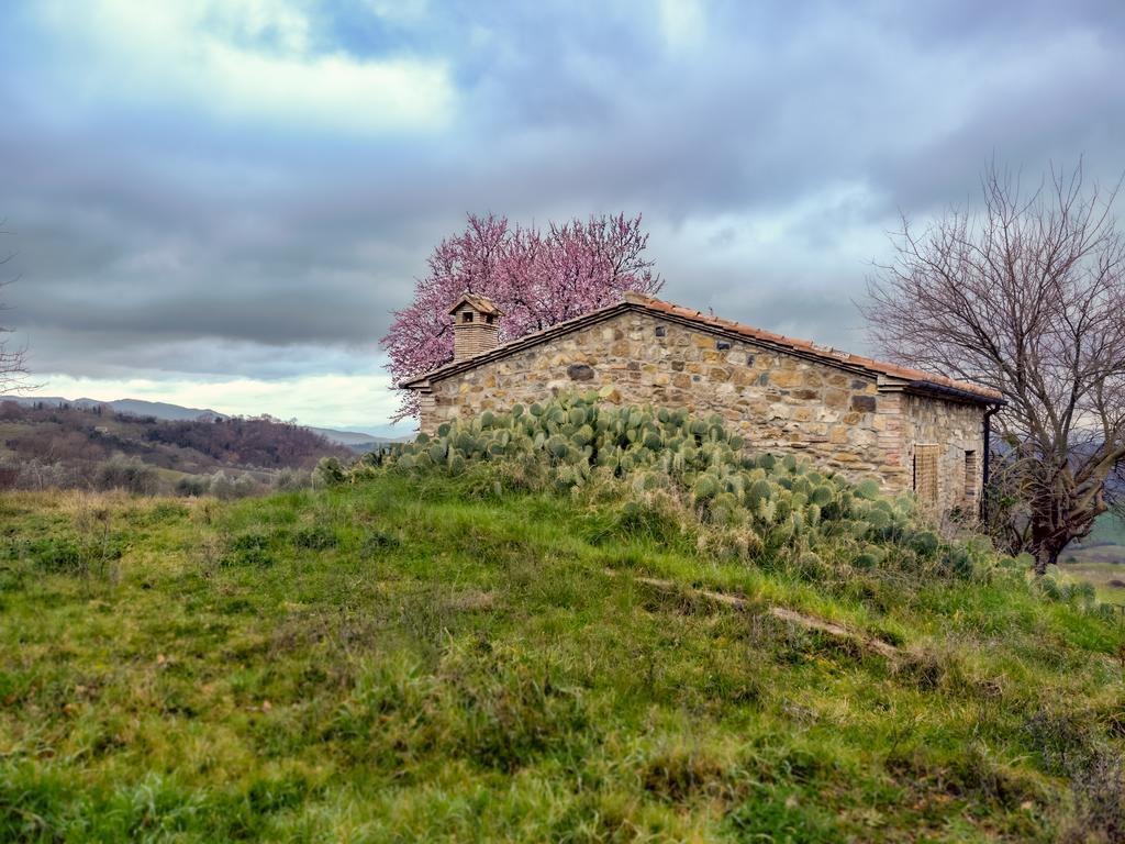 Agriturismo Le Canterie 라디콘돌리 외부 사진