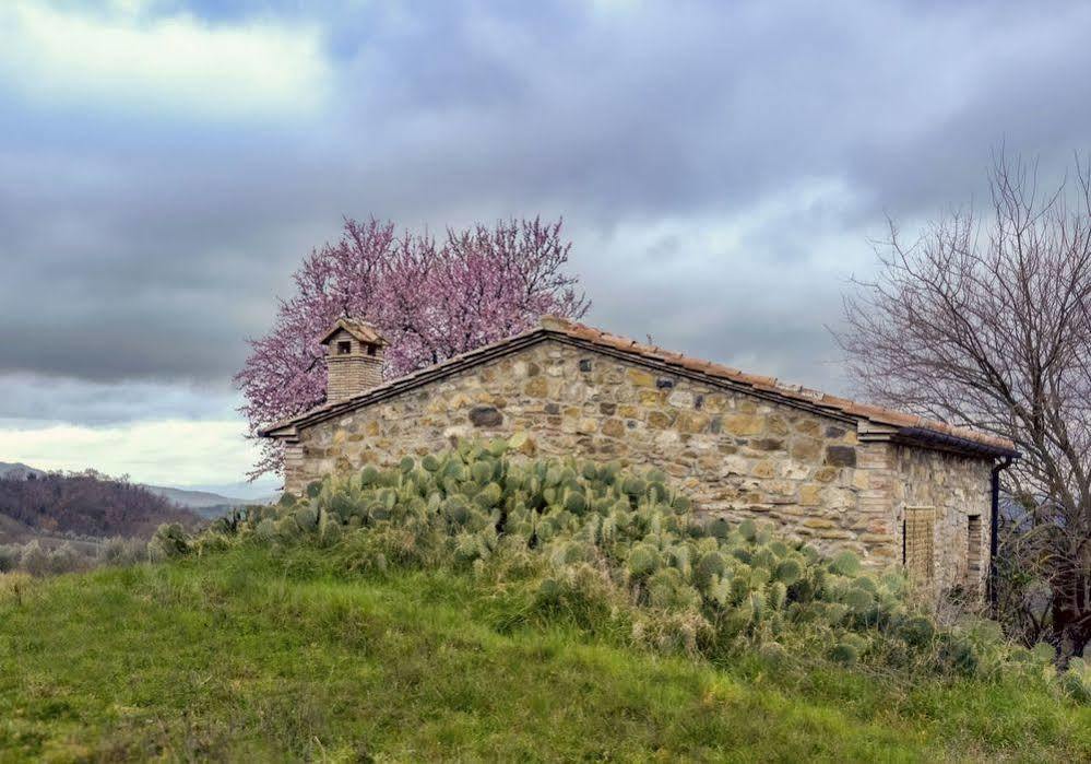 Agriturismo Le Canterie 라디콘돌리 외부 사진